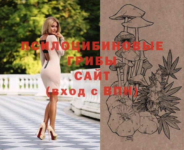 винт Алексин