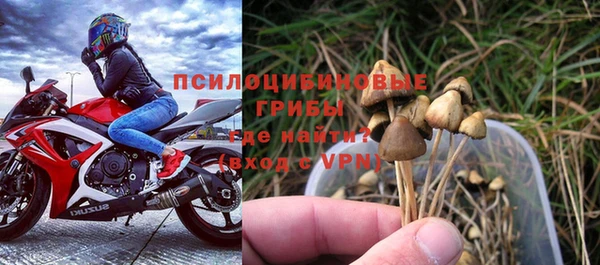 мяу мяу мука Армянск